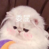 巴甫洛夫的狗