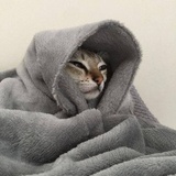 。