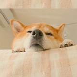 yuanyyt_