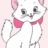 Zyy小马甲