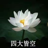 豆友momo