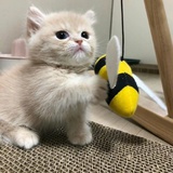 白日梦专家