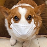林夕