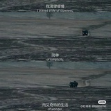 三文