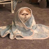 老木吉吉