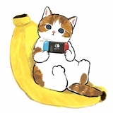 桔年