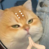 🐱麽麽