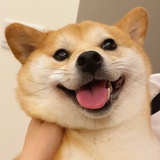 慕言