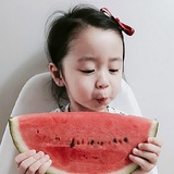 森小懒