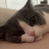 酱汁汽水