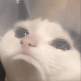 hakuku