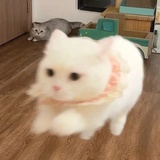 🍓
