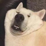 你的名字
