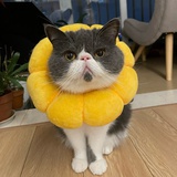 豆花米綫