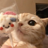 未注销