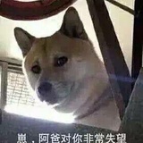 每天都很无聊