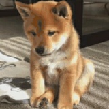 生