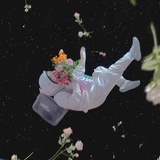 铁甲大宝SOD蜜