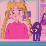 芍药呀