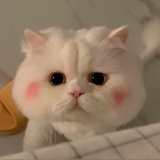 心如止水