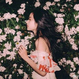 美鹅