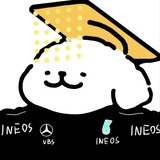 独立行走的猪