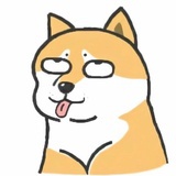 小懒LL