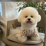 是你的很美味