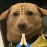 呼嘘