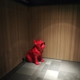 城市de啊星