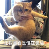 无源