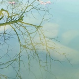曦梦