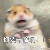 啊喂