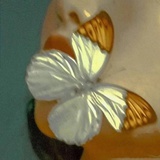 Wen