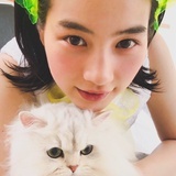 荔枝猫