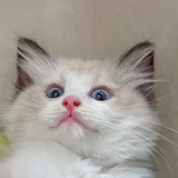 陪你长大