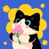 双眼皮