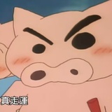 本杰明的猫