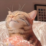 肖七水