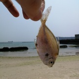 竹马
