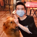金宇