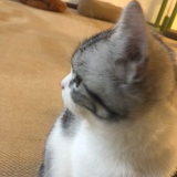 一名不热心网友