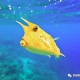 沙雕青年