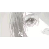 蓝莓塔可