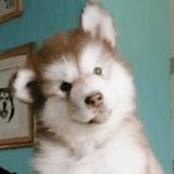 可