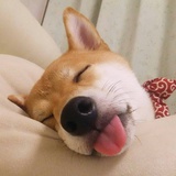 我叫网友丁
