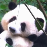 。