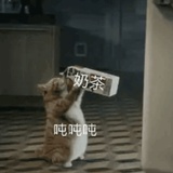 qwert