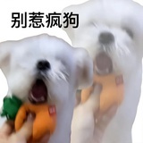 格兰芬多的小狗
