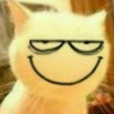 哒哒的马蹄声
